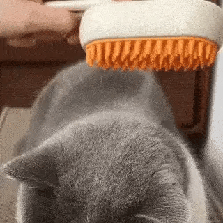 Cepillo de vapor pasando sobre el pelaje de una mascota
