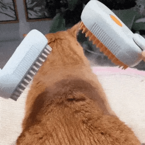 Mascota relajada durante el cepillado con vapor